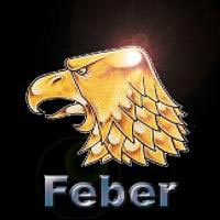 Feber team badge